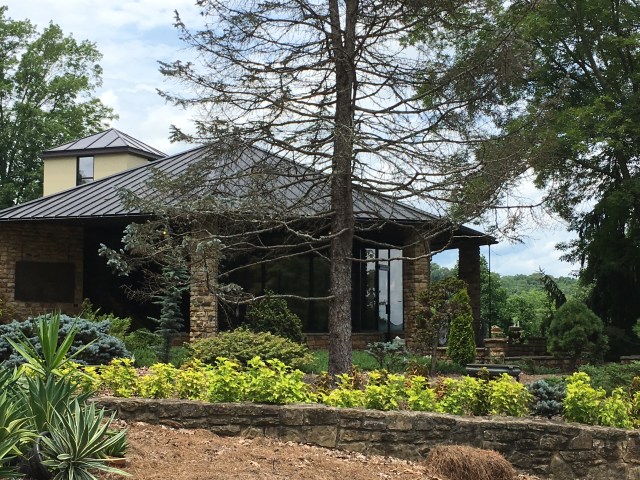 2018-06-23_Downing_back1