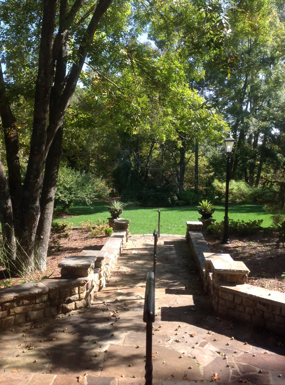 Downing_walkway